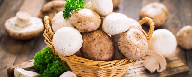 醃咸蘑菇能放冰箱冷藏嗎 醃咸蘑菇能放冰箱冷藏