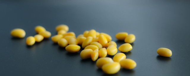 黃豆冷藏後能發芽嗎 黃豆冷藏後能不能發芽