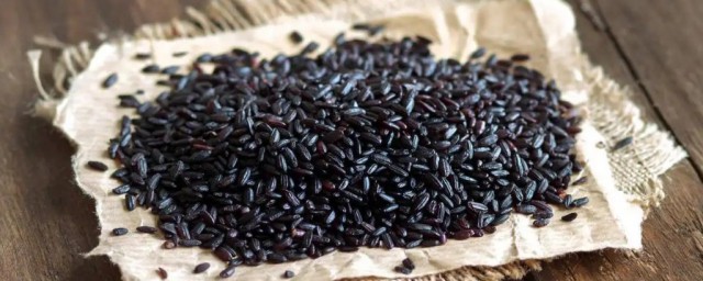 黑米成熟在什麼季節 黑米成熟在哪個季節