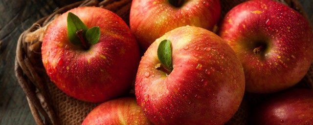蘋果是什麼季節才成熟 蘋果成熟時間