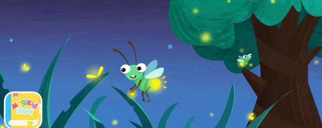 怎麼養螢火蟲 螢火蟲養殖方法