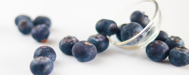 藍莓樹怎麼養 藍莓樹的養殖方法