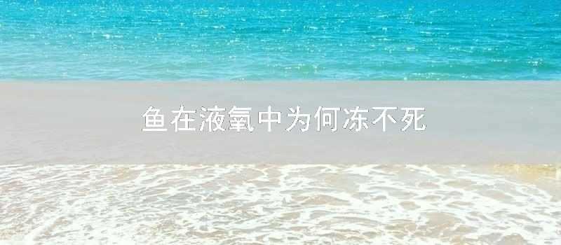 魚在液氧中為何凍不死