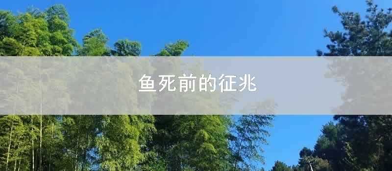 魚死前的征兆