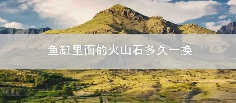 魚缸裡面的火山石多久一換