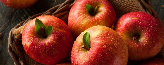 河北蘋果季節是什麼時候成熟 蘋果成熟的季節