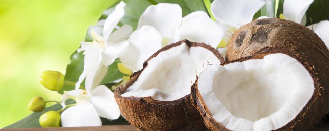 椰子成熟時是什麼季節 椰子成熟時是哪個季節