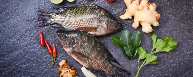 紅燒魚草魚怎麼做好吃 紅燒魚草魚好吃的做法介紹