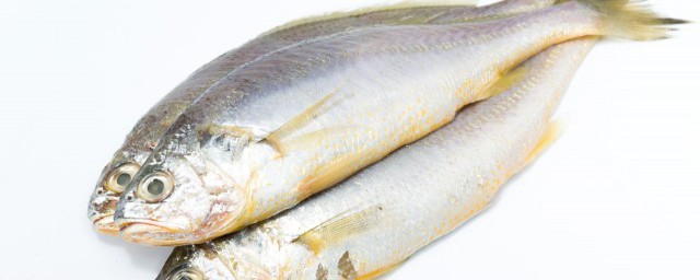 黃花魚怎麼做好吃 黃花魚的做法
