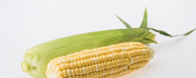 玉米怎麼傳播種子 玉米靠什麼傳播種子