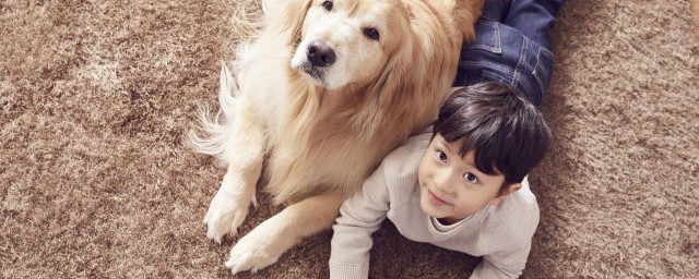 人類的朋友有哪些動物 什麼動物和人類是朋友