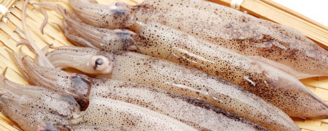 魷魚絲是什麼做的 魷魚絲是什麼食材做的