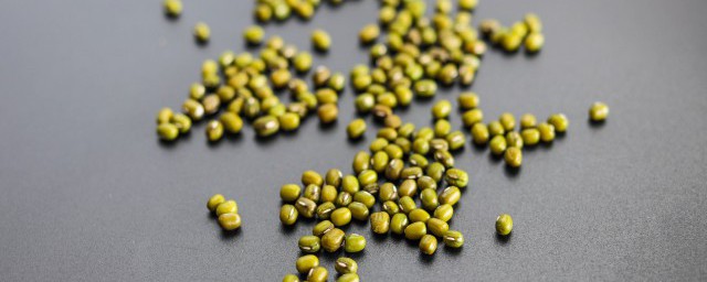 綠豆水培怎麼種小盆栽 綠豆水培的方法