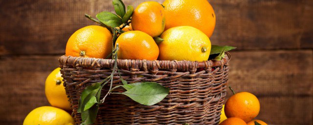 橘子花盆栽怎麼種 怎麼種橘子花盆栽