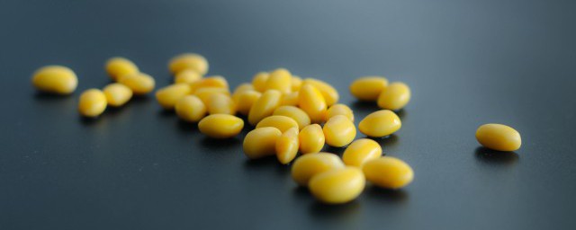 黃豆怎麼種水培小盆栽 黃豆如何種水培小盆栽