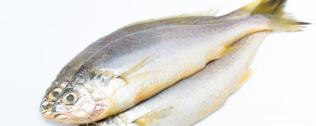 油煎黃花魚怎麼做好吃 油煎黃花魚如何做好吃