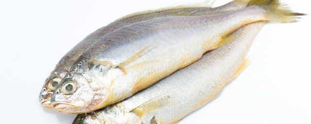 黃腳立魚怎麼做好吃 黃腳立魚好吃 的做法
