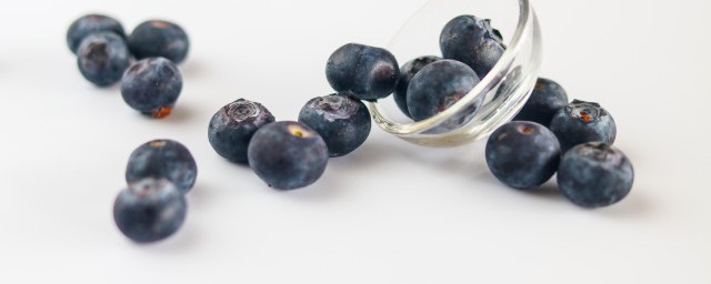 藍莓什麼季節種植 什麼時候種植藍莓