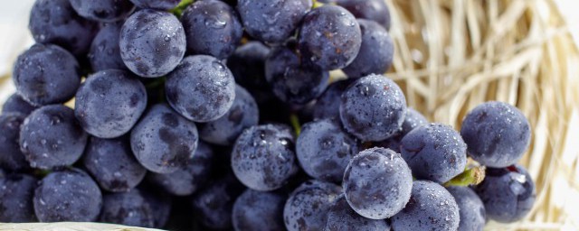 新鮮葡萄能放冰箱保鮮嗎 新鮮葡萄怎麼保存