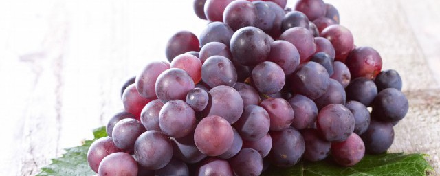 中國葡萄種植始於哪個朝代 中國從什麼時候開始種植葡萄