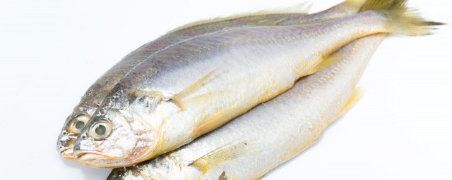 早上宰好的魚放冰箱能保鮮嗎 早上宰好的魚放冰箱可以保鮮嗎