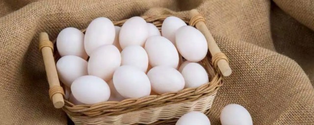 生鴿子蛋能放冰箱保鮮嗎 生鴿子蛋可以放冰箱保鮮嗎