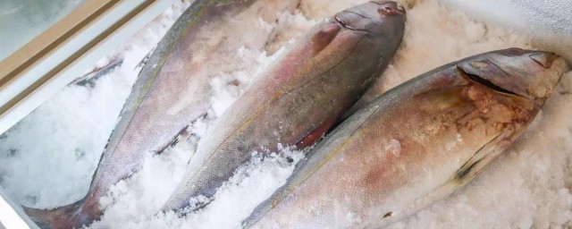 超市凍魚怎麼做好吃 超市凍魚如何做好吃