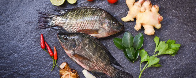鯉魚怎麼做好吃又簡單 鯉魚如何做好吃又簡單