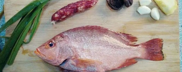 紅魚怎麼做好吃又簡單傢常的 紅魚如何做好吃又簡單傢常的