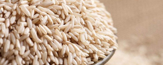 糙米怎麼清洗比較好 糙米如何清洗比較好