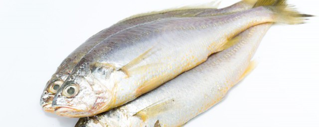 秋刀魚的做法烤箱烤 秋刀魚怎麼做