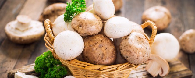 烤箱烤蘑菇的做法 烤箱烤蘑菇怎麼做