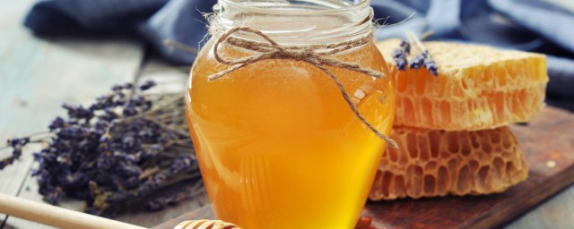 黃蜂巢泡酒的制作方法 黃蜂巢泡酒的制作方法有哪些