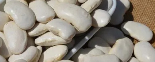 大白豆怎麼醃制最好吃 大白豆怎麼做好吃