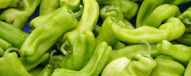 醃制綠辣椒的做法怎麼做最好吃 醃制綠辣椒方法