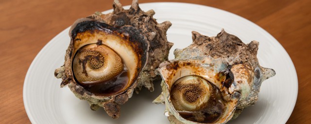 海螺怎麼醃制最好吃 海螺的做法