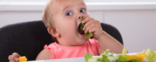 給寶寶做輔食需要哪些食材 寶寶輔食食譜