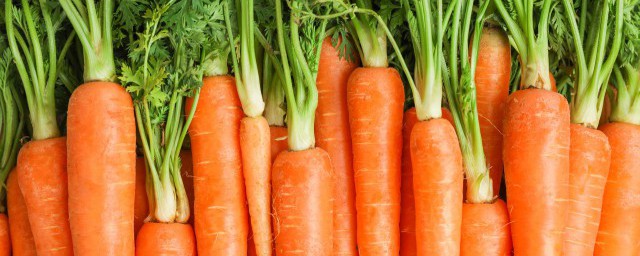 胡蘿卜富含胡蘿卜素怎麼吃更好吸收 胡蘿卜富含胡蘿卜素如何吃更好吸收
