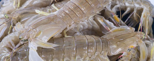 皮皮蝦煮多長時間熟 皮皮蝦煮的時長