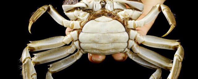 螃蟹怎麼保存好 螃蟹買多吃不完怎麼保存