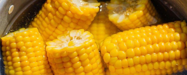 夏天煮好的玉米怎麼保存 夏天煮好的玉米如何保存
