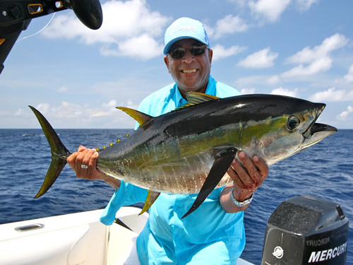 吞拿魚是什麼魚 吞拿魚金槍魚和三文魚三者有什麼區別