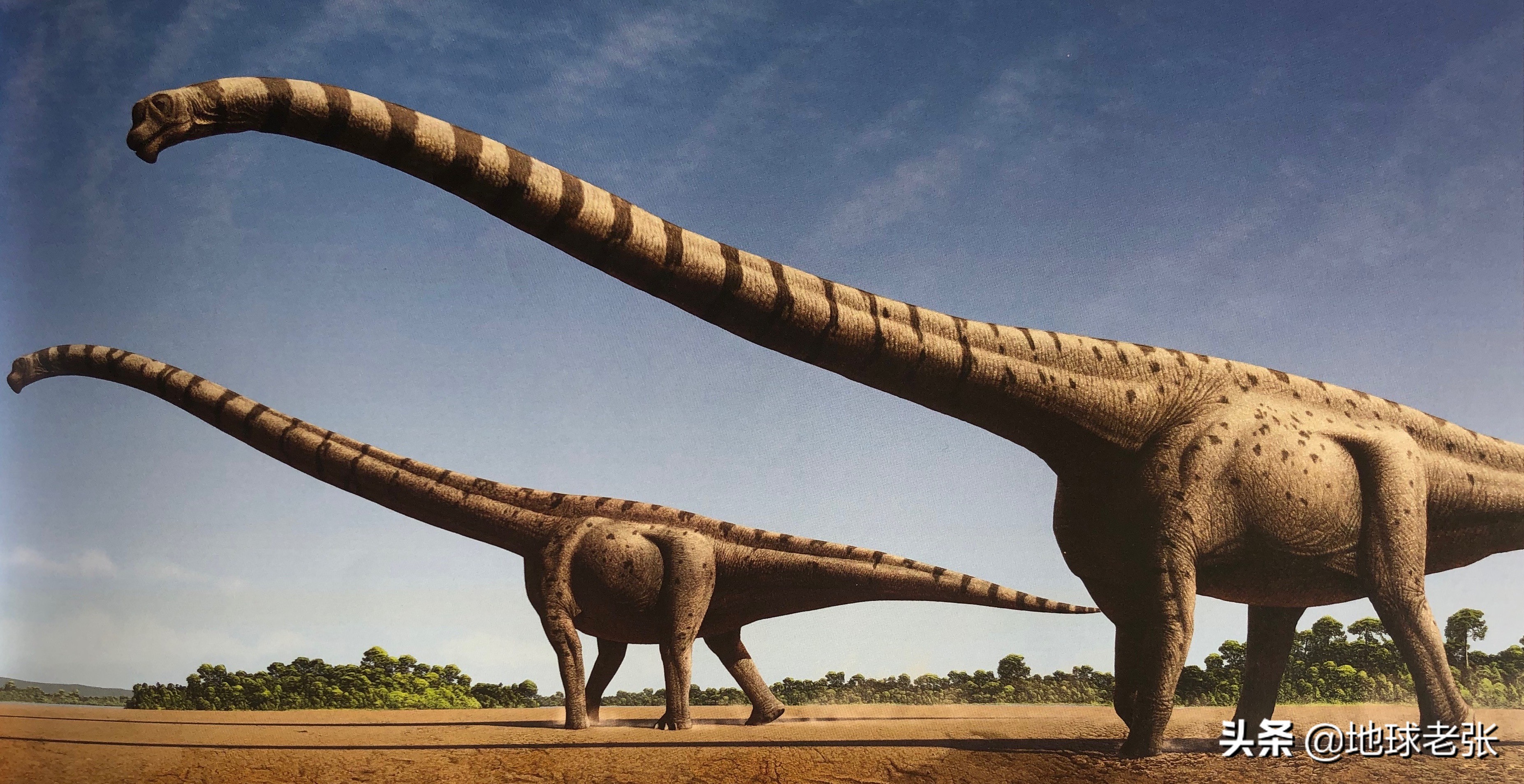 脖子長的恐龍叫什麼 脖子最長的恐龍是什麼龍