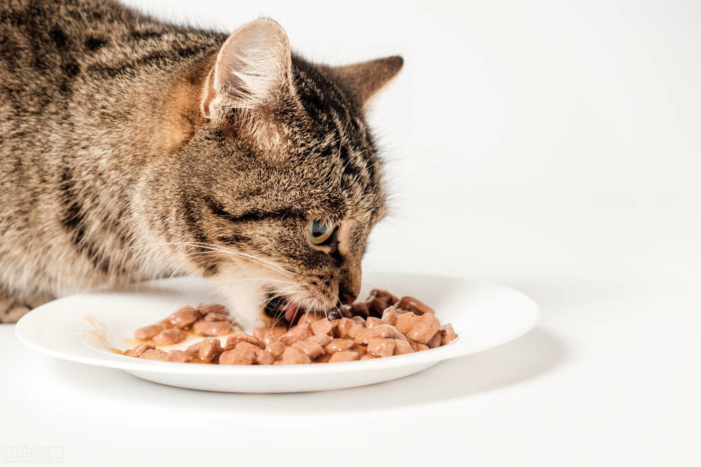 貓糧可以混著吃嗎 不同品牌的平價國產貓糧可以混搭著喂嗎