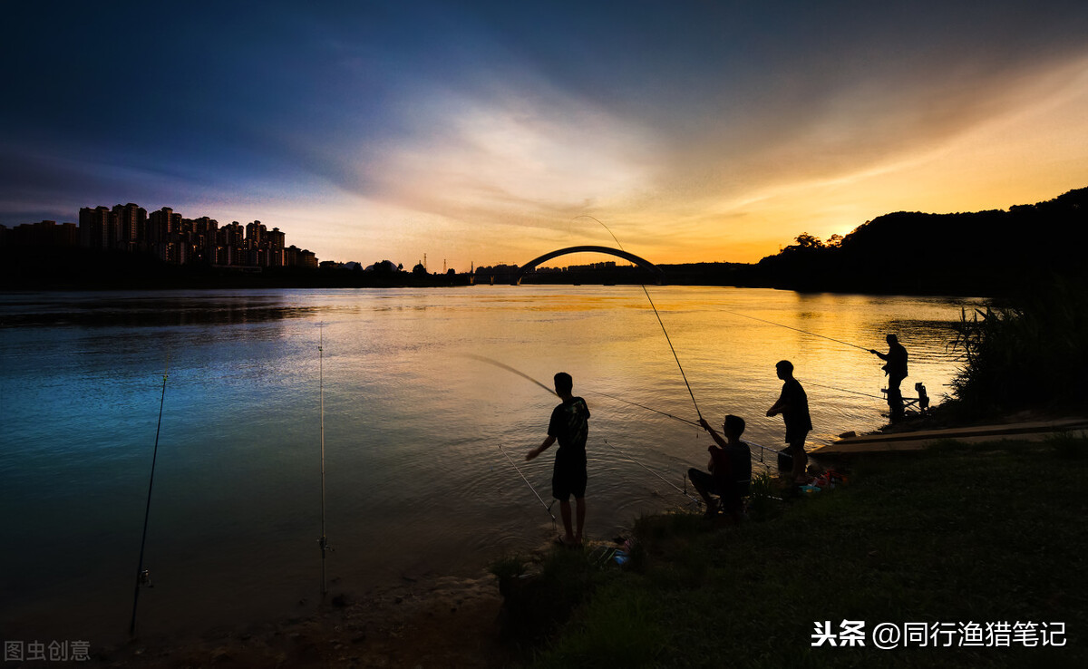 夜釣鯉魚什麼時候上魚最佳時間 夜釣鯉魚技巧方法