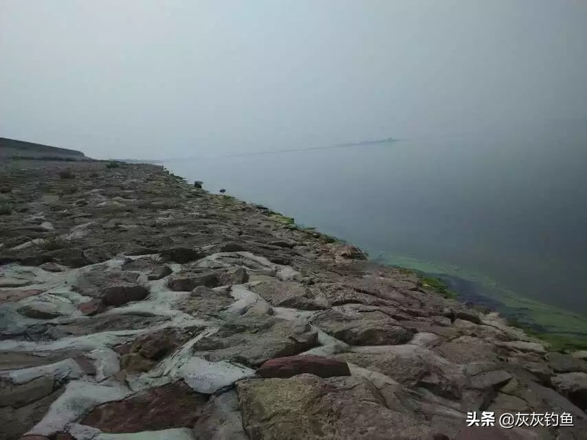 夏天夜釣釣深水還是淺水 夏季夜釣水深多少合適