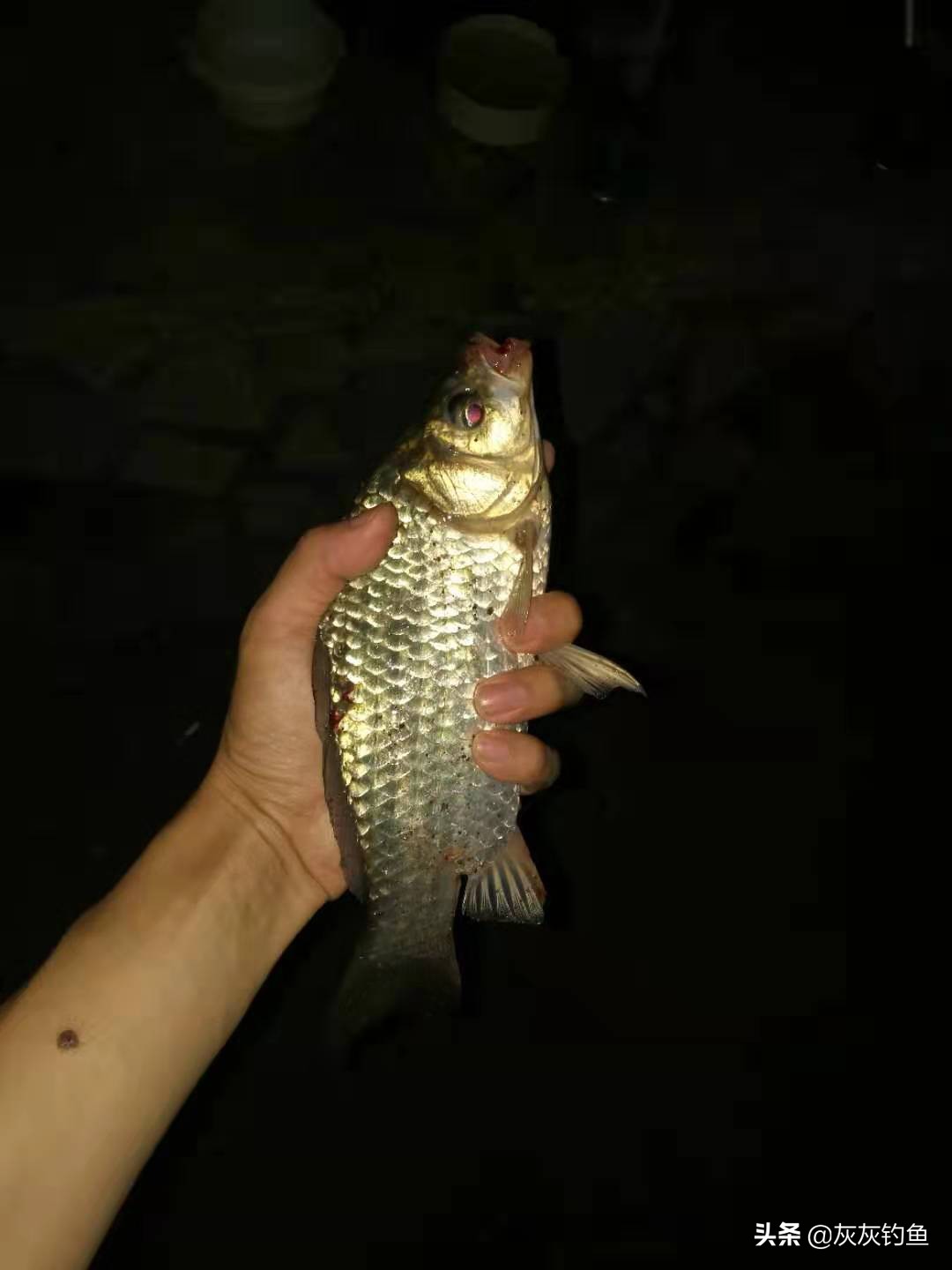 夏天夜釣釣深水還是淺水 夏季夜釣水深多少合適