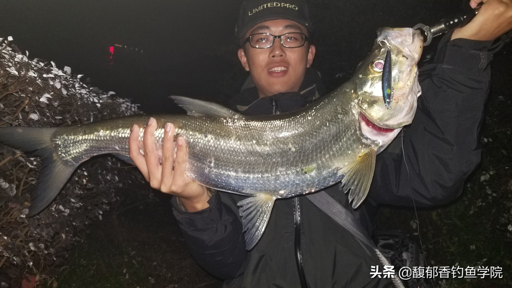 翹嘴魚的生活規律及溫度 翹嘴魚的覓食習性和垂釣方法