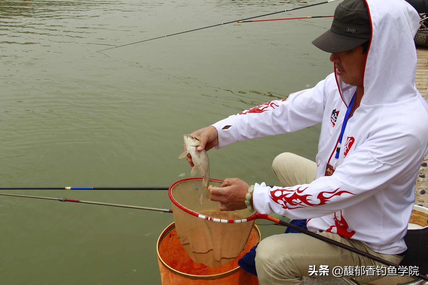 夏季釣鯽魚用什麼餌料好 夏季野釣鯽魚哪種魚餌效果好