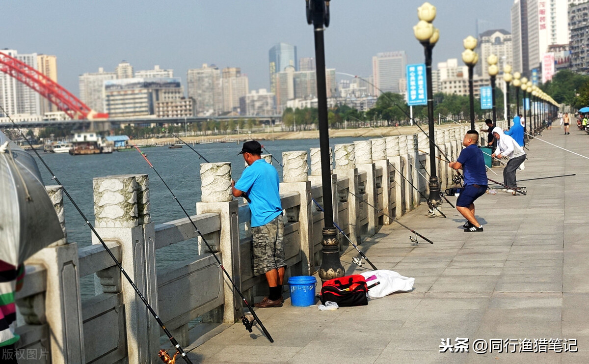 魚輪要怎麼安裝上魚線 路亞竿紡車輪魚線正確安裝方法